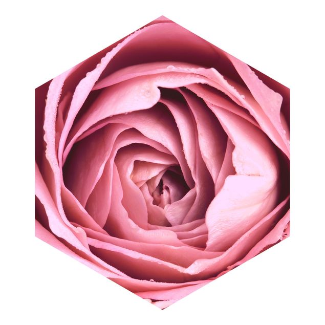 Carta da parati esagonale adesiva con disegni - Pink Rose Blossom