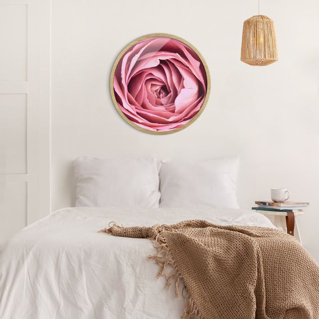 Quadro rotondo incorniciato - Pink Rose Blossom