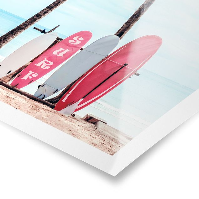 Poster riproduzione - Tavole da surf rosa sotto le palme