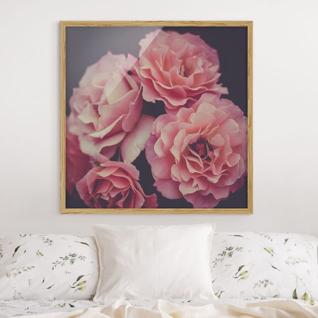 Poster con cornice - Sogno di rose