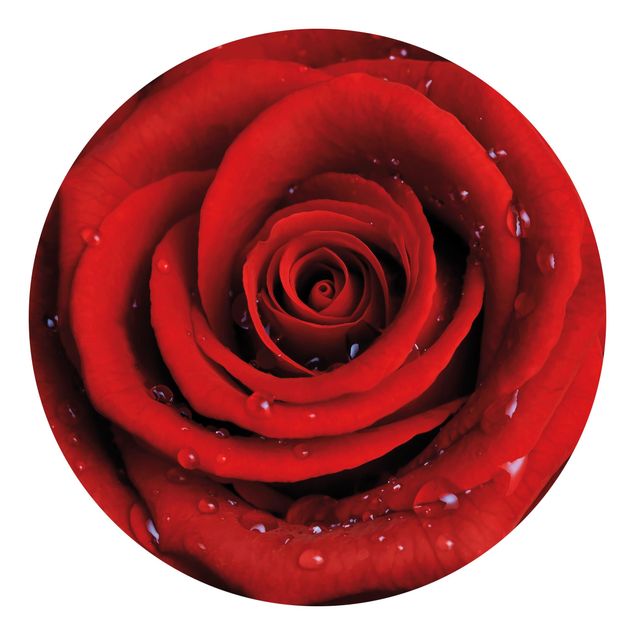 Carta da parati rotonda autoadesiva - Red Rose con gocce d'acqua