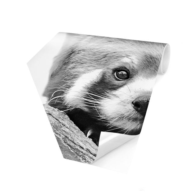 Carta da parati esagonale adesiva con disegni - Panda rosso in bianco e nero
