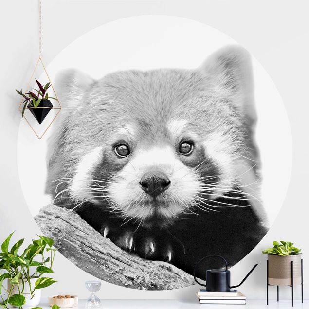 Carta da parati per bambini animali Panda rosso in bianco e nero