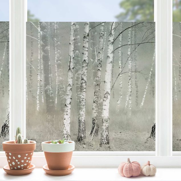 pellicola adesiva colorata per vetri Calma foresta di betulle