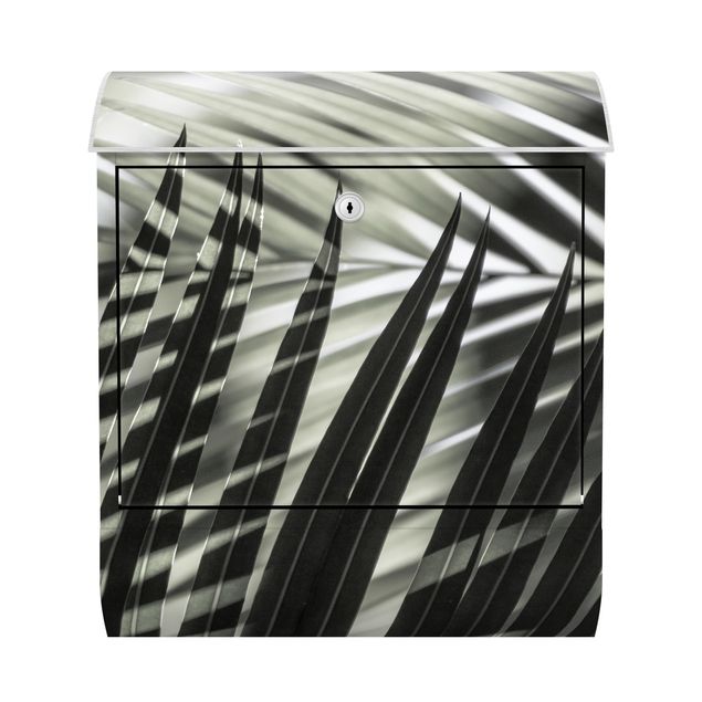 Cassetta postale - Giochi di ombre su ramo di palma