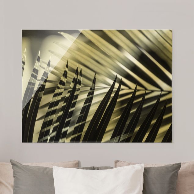 Quadro in vetro - Giochi di ombre su ramo di palma - Formato orizzontale