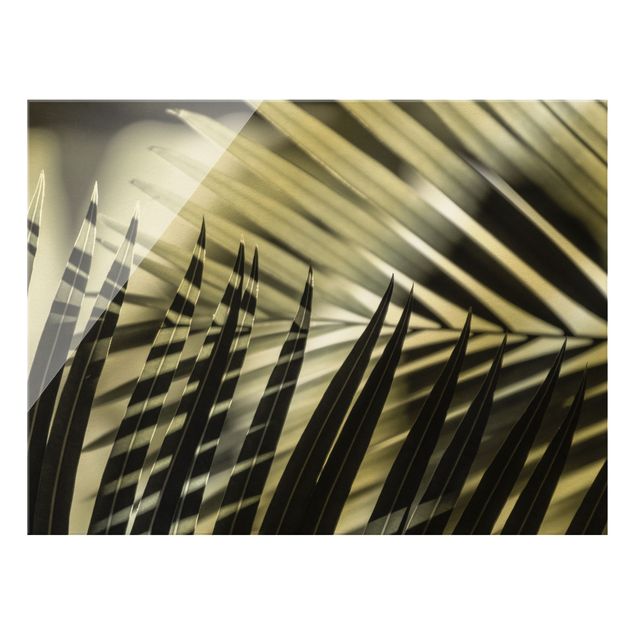 Quadro in vetro - Giochi di ombre su ramo di palma - Formato orizzontale