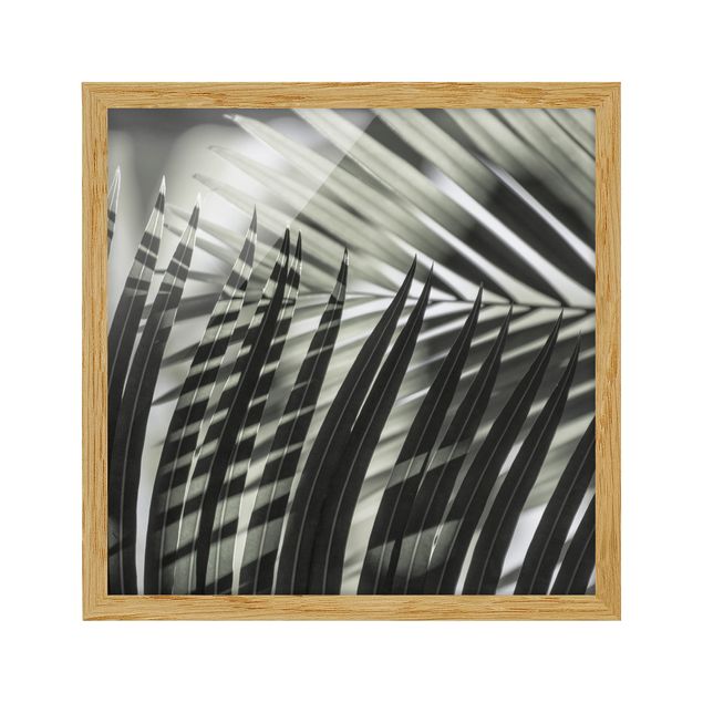 Poster con cornice - Giochi di ombre su ramo di palma