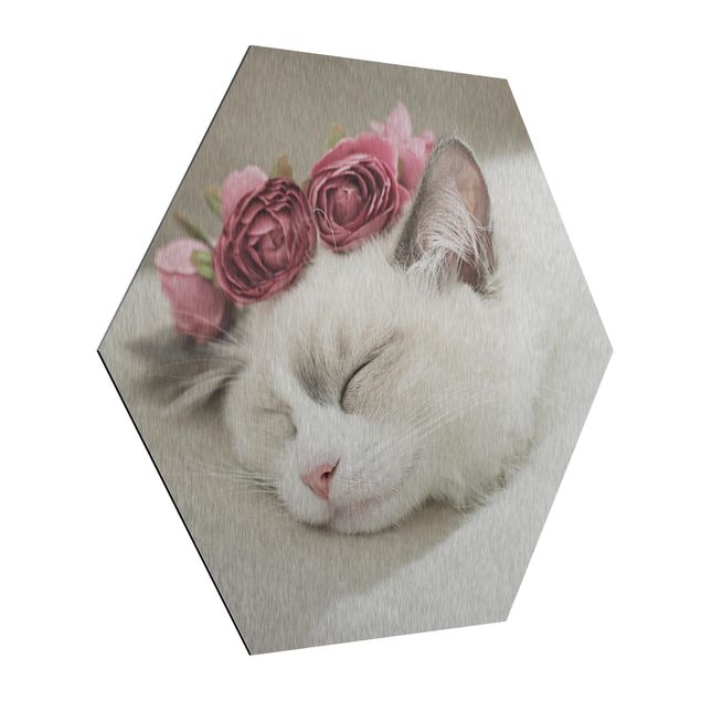Esagono in Alluminio Dibond - Gatto che dorme con rose