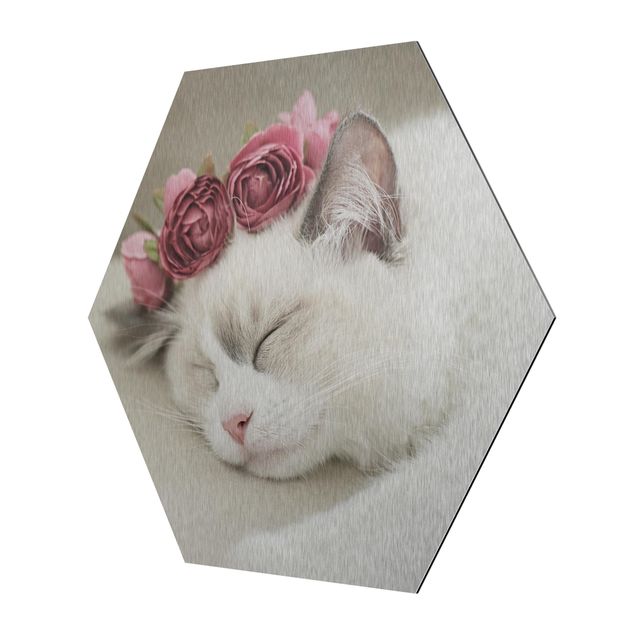 Esagono in Alluminio Dibond - Gatto che dorme con rose
