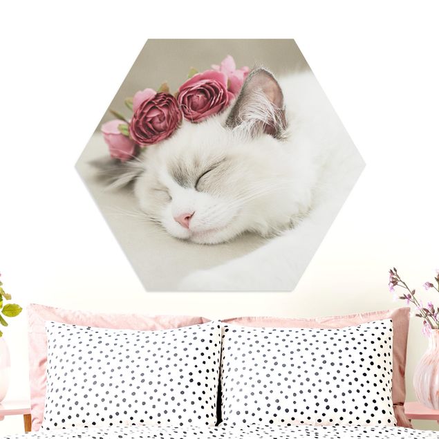 Quadri animali Gatto addormentato con rose