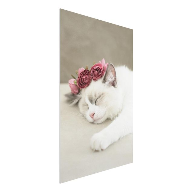 Stampa su Forex - Gatto che dorme con rose - Formato verticale 2:3