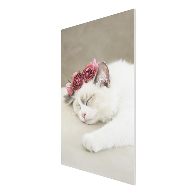 Stampa su Forex - Gatto che dorme con rose - Formato verticale 2:3