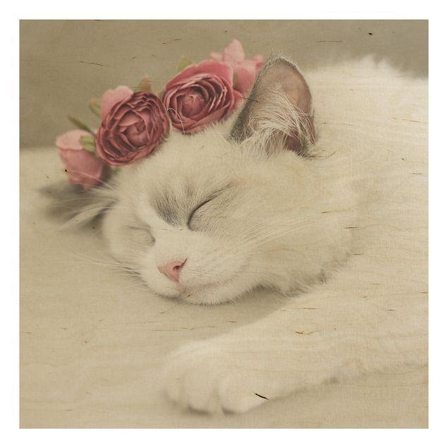 Stampa su legno - Gatto che dorme con rose