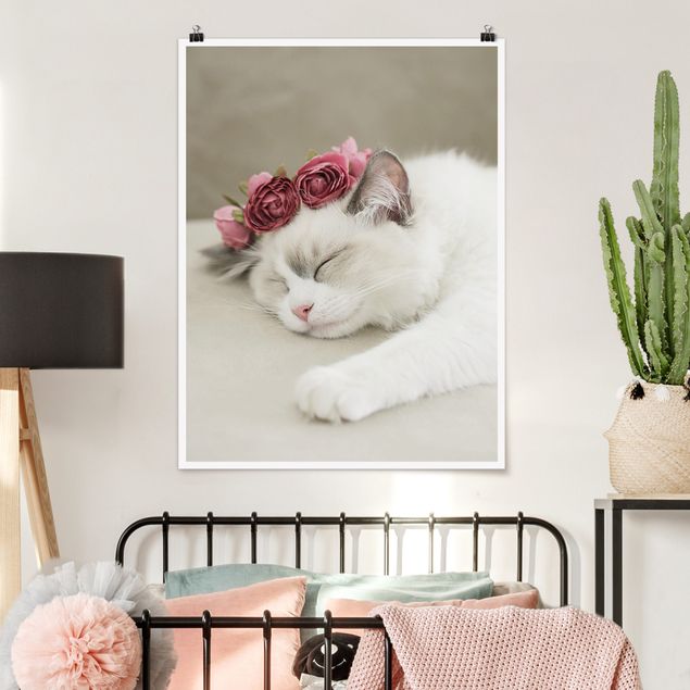 Poster - Gatto che dorme con rose
