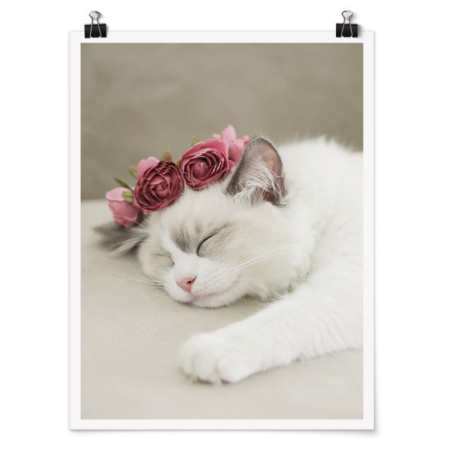 Poster - Gatto che dorme con rose