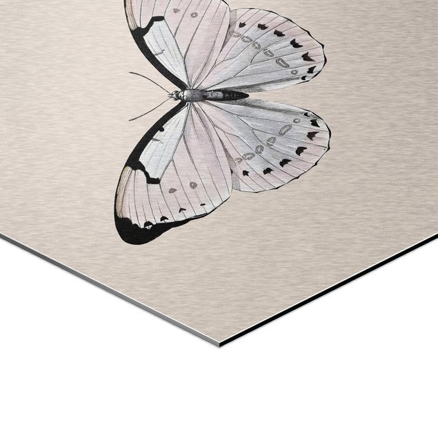 Esagono in Alluminio Dibond - Farfalla su beige