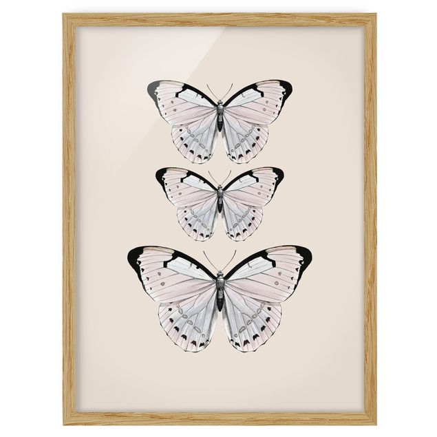 Poster con cornice - Farfalla su beige