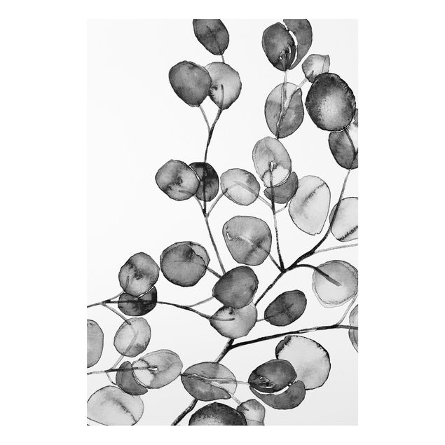 Stampa su Forex - Ramo di eucalipto in acquerello bianco e nero - Formato verticale 2:3