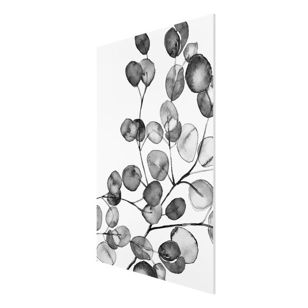 Stampa su Forex - Ramo di eucalipto in acquerello bianco e nero - Formato verticale 2:3