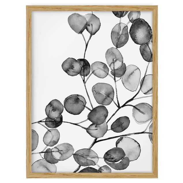 Poster con cornice - Ramo di eucalipto in acquerello bianco e nero