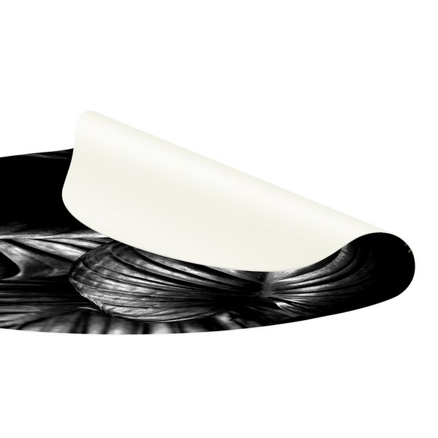 Tappeto bianco e nero moderno Hosta botanica in bianco e nero
