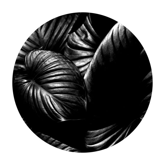 Tappeti effetto naturale Hosta botanica in bianco e nero