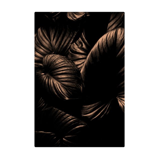 Tappeti grandi Hosta botanica in bianco e nero