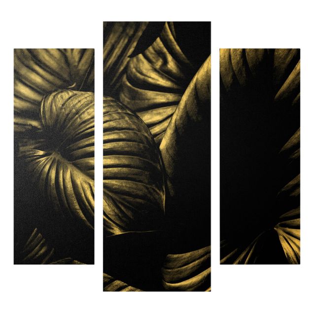 Stampa su tela 3 parti - Botanica Hosta in bianco e nero