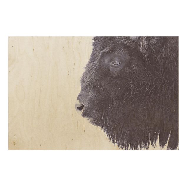 Stampa su legno - Ritratto di bufalo nero