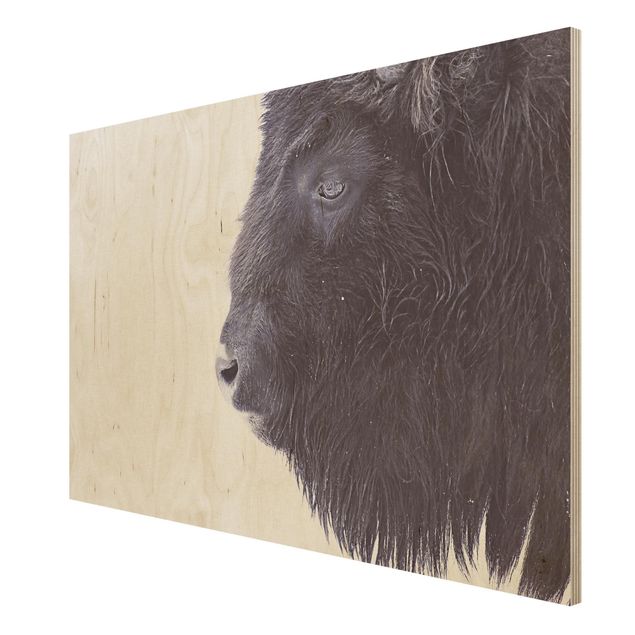Stampa su legno - Ritratto di bufalo nero