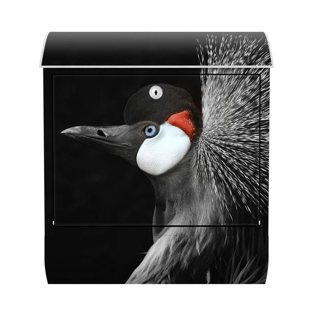 Cassetta postale - Gru coronata nera