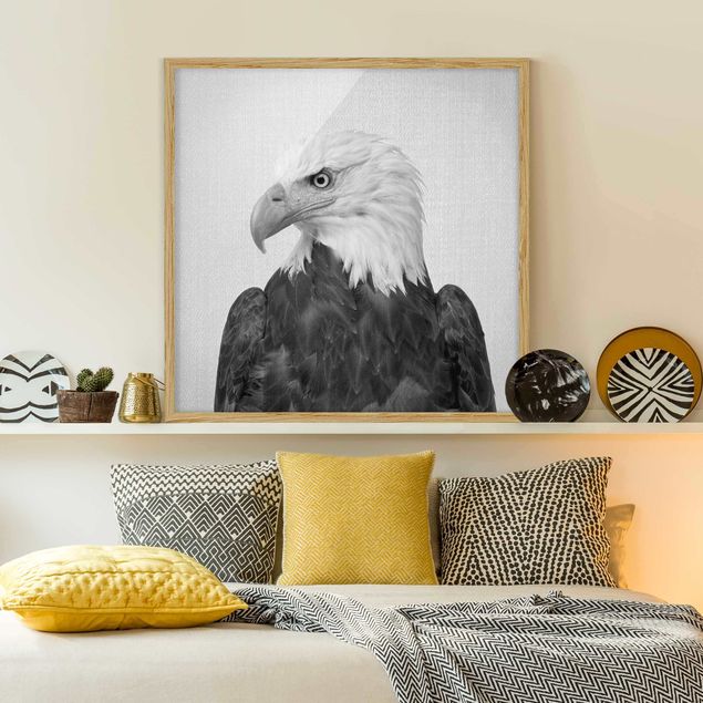 Poster con cornice - Aquila dalla coda bianca Socrate in bianco e nero