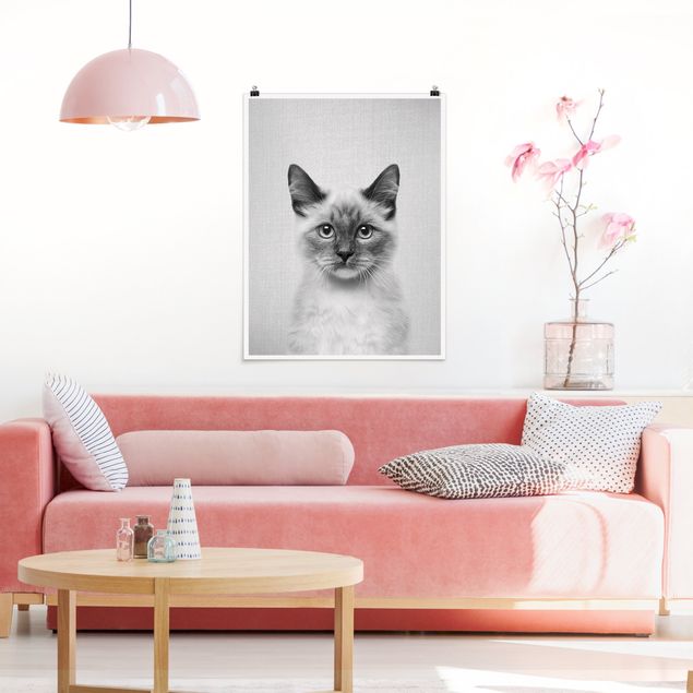 Poster cameretta bambini animali Gatto siamese Sibylle Bianco e nero