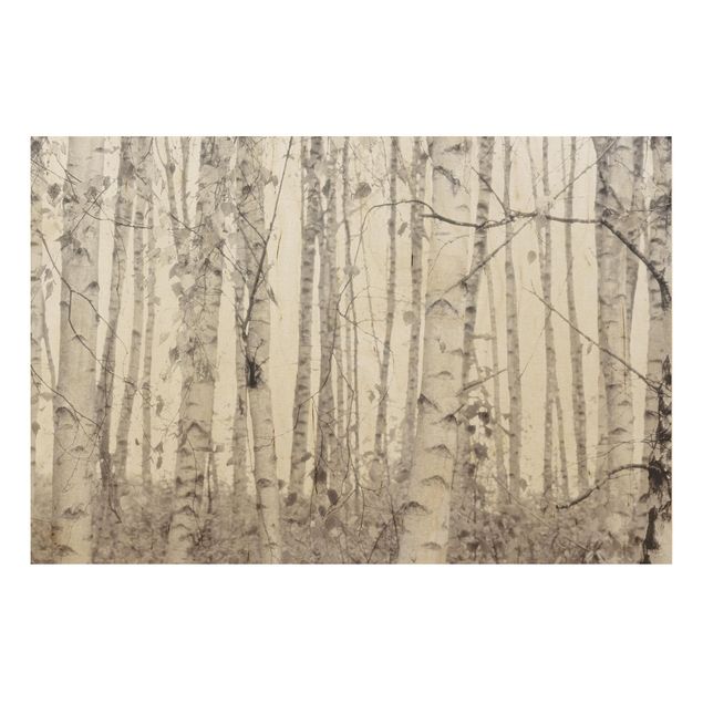 Stampa su legno - Betulla argentata nella luce bianca