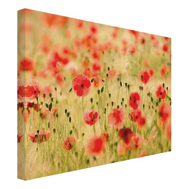 Quadro su tela naturale - Summer Poppies - Formato orizzontale 4:3