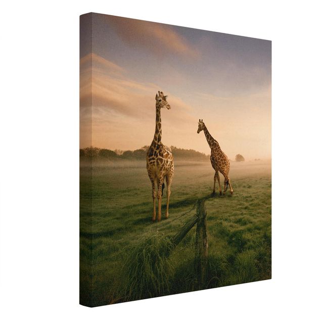 Stampa su tela Giraffe surreali
