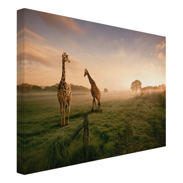 Stampe su tela Giraffe surreali