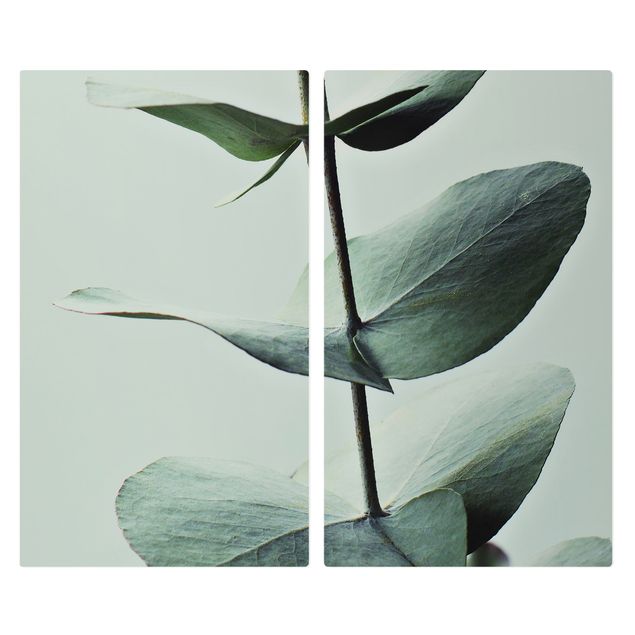 Coprifornelli - Ramo di eucalipto simmetrico