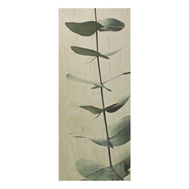 Stampa su legno - Ramo di eucalipto simmetrico