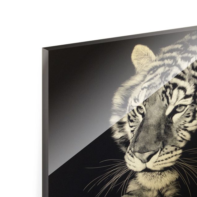 Quadro in vetro - Tigre nella luce del sole su nero - Formato orizzontale