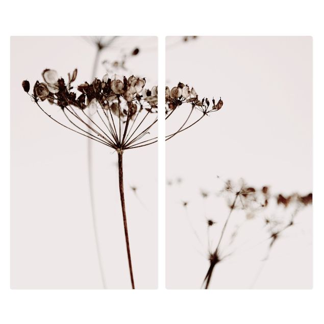 Coprifornelli - Fiore secco nell'ombra
