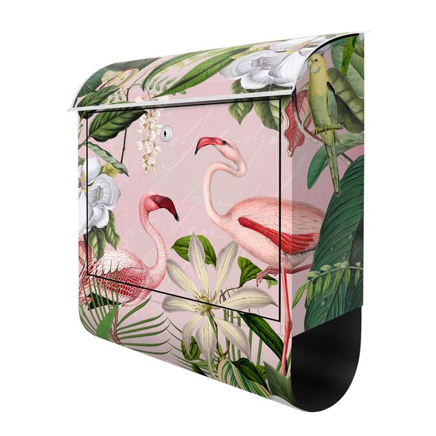Cassetta postale - Fenicotteri tropicali con piante in rosa