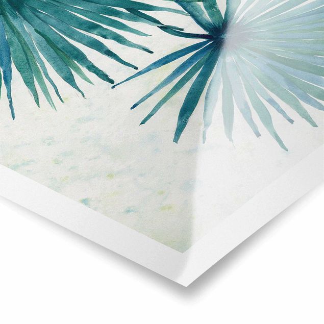 Poster - Foglie di palma tropicali Close-Up