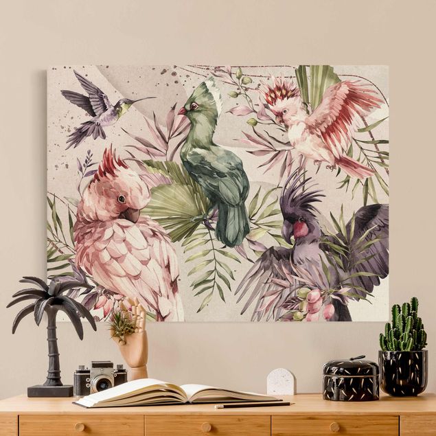 quadri con animali Uccelli tropicali - Cacatua colorato e colibrì