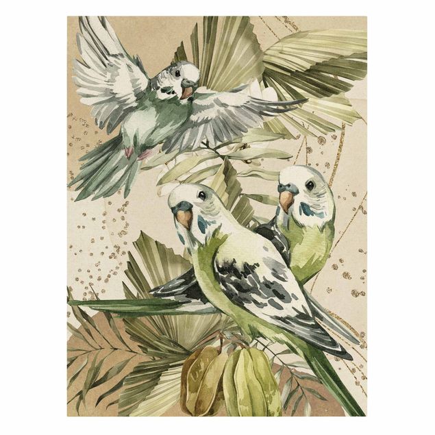 Riproduzioni su tela Uccelli tropicali - Budgerigar verde