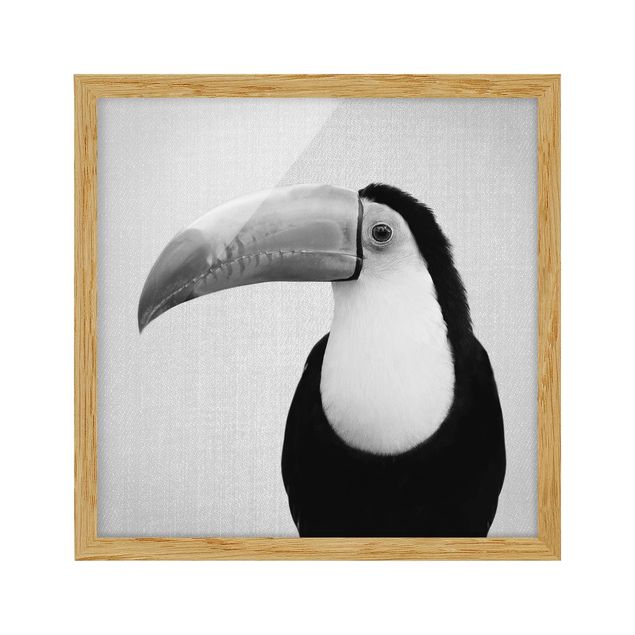 Poster con cornice - Tucano Torben in bianco e nero