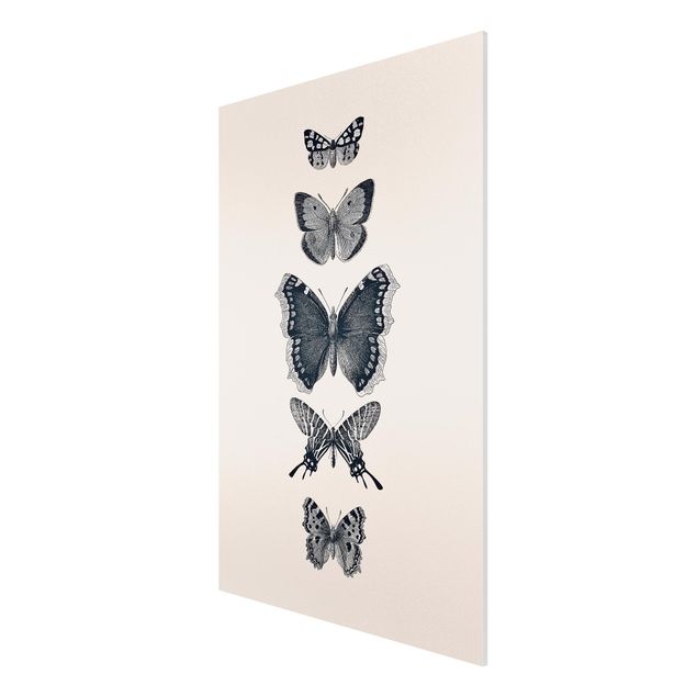 Stampa su Forex - Farfalla in china su beige - Formato verticale 2:3