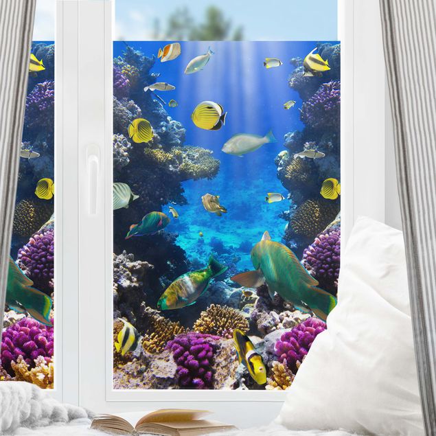 Pellicole per vetro Underwater Dreams