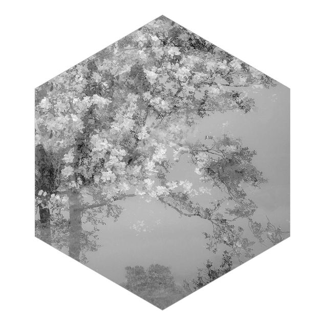 Fotomurale esagonale autoadesivo - Alberi idilliaci in bianco e nero